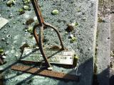 image of grave number 384215